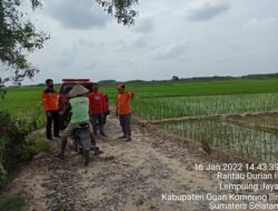 Ini yang Dilakukan Pemkab OKI Bantu Petani yang Terkena Lahan Fuso Kena Banjir