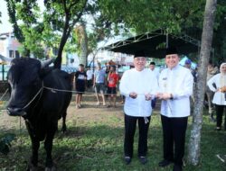 Pj Gubernur Agus Fatoni Resmikan Gerakan Kurban Serentak se-Sumsel di Momen Hari Raya Idul Adha 1445 Hijriah