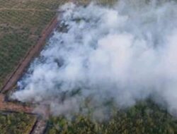 5 Hektar Lahan di Kayu Ara Batu Terbakar