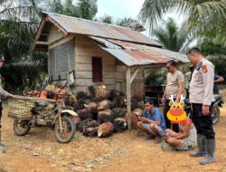 Operasi Sikat Musi II, Polsek BTS Ulu Cecar Tangkap Curas Buah Sawit